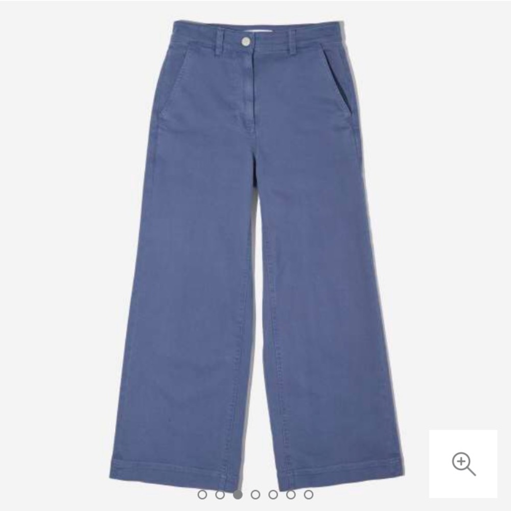 Everlane Wide Leg Crop Pants